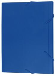 Eagle Mappa 12 zsebbel Eagle, Blue (6787)