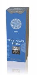 Shiatsu Penis Power Spray - Japanese Mint & Bamboo 30 ml. erekciónövelő spray (HOT0067302)