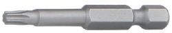  TORX profilú bit, TX 20, L 50, D 4, 5, AMB - ÖMLESZTETT