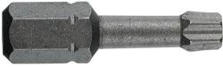  TORSION bit 1/4' ' DIN/ISO 1173 C 6.3 alak - TORX profil, L 25, DIM TX 40