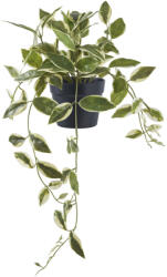 House Nordic Viaszvirág műnövény, zöld 33 cm (9501006) - geminiduo