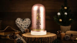 TRACON Tracon CHRGP10WW LED karácsonyi bura, diótörő, üveg, elemes (X25010) Timer 6+18h, 10LED, 3000K, 3xAA (CHRGP10WW)