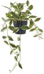 House Nordic Viaszvirág műnövény, zöld 33 cm (9501006) - leziter