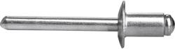 Extol 8813878 Premium Popszegecs Készlet - 6.4×19 mm, 250 db