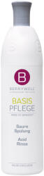 BERRYWELL Care Hajöblítő Balzsam 1001ml
