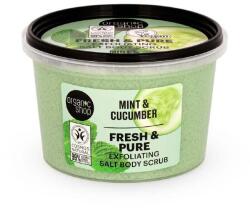 Organic Shop hámlasztó testradír mentával és uborkával, 250 ml - hajvarazs