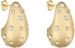 Daniel Klein Női fülbevaló, DKJ-5-30010-2 - swisstimeshop