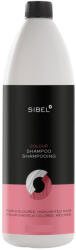  Sibel Colour utazó sampon festett hajra, 100 ml - hajpatika