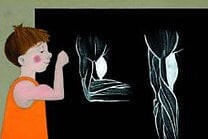 Diafilmgyártó Kft Testünk felépítése - Diafilm (5998644100895) - argentumshop