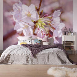 Komar Cseresznyevirág mintás vlies fotótapéta