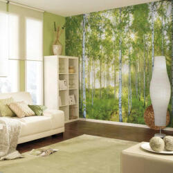 National Geographic Sunday fotótapéta