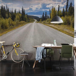 National Geographic Atlin Road fotótapéta