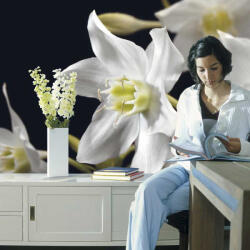 Komar Madonna fotótapéta