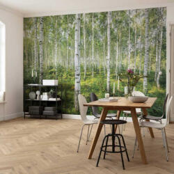 Komar Sunny Day fotótapéta