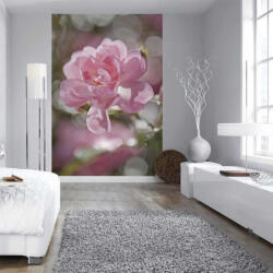 Komar Bouquet fotótapéta