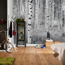 Komar Woods fotótapéta