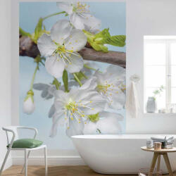 Komar Tavaszi virágzás mintás fotótapéta