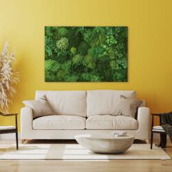 DUBLEZ Nyomtatott moha kép a falra | DUBLEZ