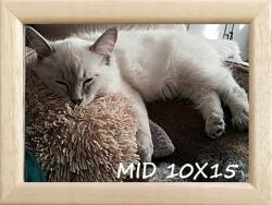 Marek & Darek Klasszikus képkeret falra és asztalra, 10x15 cm, fa (5904996592271)