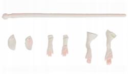 Savage Gear Javítókészlet Savage Gear Lb 3D Rad Patkány Main (55183)