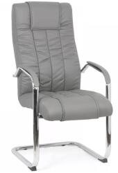 Chairs ON Scaun vizitator de birou OFF 8115, ergonomic, piele ecologica, cadru cromat tip sanie, 120 kg (00001017)