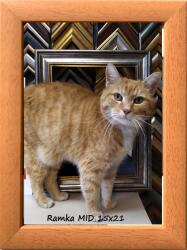 Marek & Darek Klasszikus képkeret falra és elhelyezésre 15x21 fa (5904996596057)