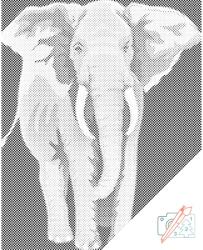  PontPöttyöző - Fáni a pillangók birodalmában Méret: 30x40cm, Keretezés: Kartonlemezen, Szín: Kék