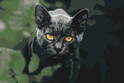  Festés számok szerint - Fekete macska Méret: 40x60cm, Keretezés: Keret nélkül (csak a vászon)