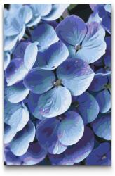  Festés számok szerint - Hortenzia Méret: 40x60cm, Keretezés: Kartonlemezen