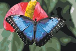  Festés számok szerint - Pillangó piros virágon Méret: 40x60cm, Keretezés: Keret nélkül (csak a vászon)