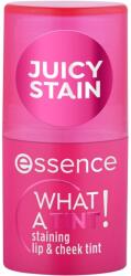 Essence Ruj si fard de obraz stick Nr. 10 Raspberry Vibes What a Tint, 5g, Essence