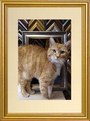 Marek & Darek Fotókeret Falra Akasztható 20x30 Arany 15 MM Ingyenes Paszpartu (5904996596439)