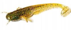 FishUp Műcsali Féreg Sumik FishUp Catfish Caramel/Green Black 5cm 10db (10051108)
