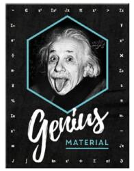 Nostalgic Art Germany Magnet 6 x 8cm - Einstein - Genius - Einstein Geniu (2062)