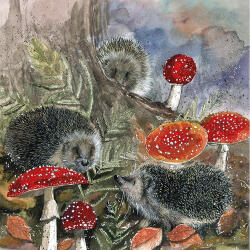 Alex Clark Képeslap Alex Clark borítékkal, 14x14 cm, sünik gombával (AC843)