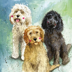 Alex Clark Képeslap Alex Clark borítékkal, 14x14 cm, 3 kutya (AC745)