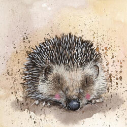 Alex Clark Képeslap Alex Clark borítékkal, 14x14 cm, süni (AC669)