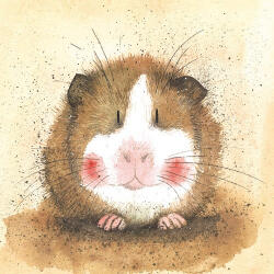 Alex Clark Képeslap Alex Clark borítékkal, 14x14 cm, Gilbert hörcsög (AC412)