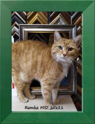 Marek & Darek Klasszikus képkeret falra és asztalra, 15x21 cm, fa, zöld (5904996594947)