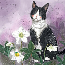  Képeslap Alex Clark borítékkal, 14x14 cm, cica virágokkal (AC880)