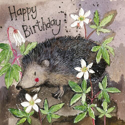 Alex Clark Képeslap Alex Clark borítékkal, 14x14 cm, süni HBD (AC734)