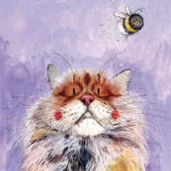 Alex Clark Képeslap Alex Clark borítékkal, 14x14 cm, cica méhecskével (AC754)