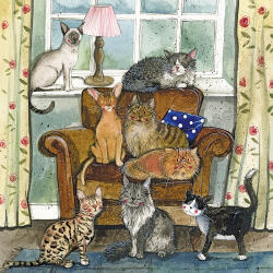 Alex Clark Képeslap Alex Clark borítékkal, 14x14 cm, cicák (AC809)