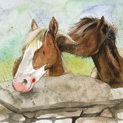 Alex Clark Képeslap Alex Clark borítékkal, 14x14 cm, 2 ló (AC666)