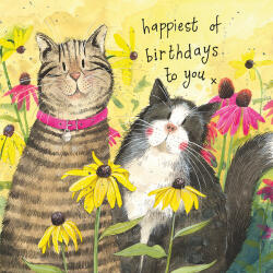 Alex Clark Képeslap Alex Clark borítékkal, 14x14 cm, két cica virágokkal HB (AC892)