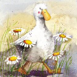 Alex Clark Képeslap Alex Clark borítékkal, 14x14 cm, kacsa margarétával (AC579)