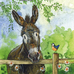 Alex Clark Képeslap Alex Clark borítékkal, 14x14 cm, szamár (AC887)