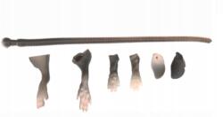 Savage Gear Javítókészlet Savage Gear Lb 3D Rad Patkány Main (55182)