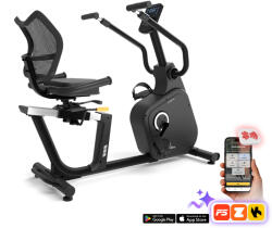 inSPORTline ZenSeat 100