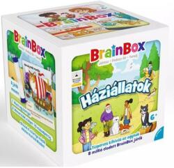 Green Board Game BrainBox - Háziállatok új kiadás (G1-13661)